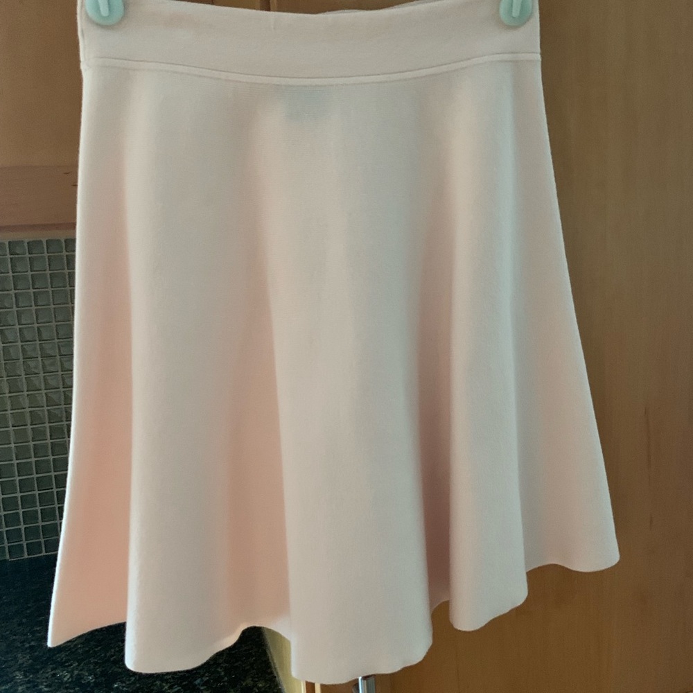 Authentic Theory Petal Pink Skirt w/tags
